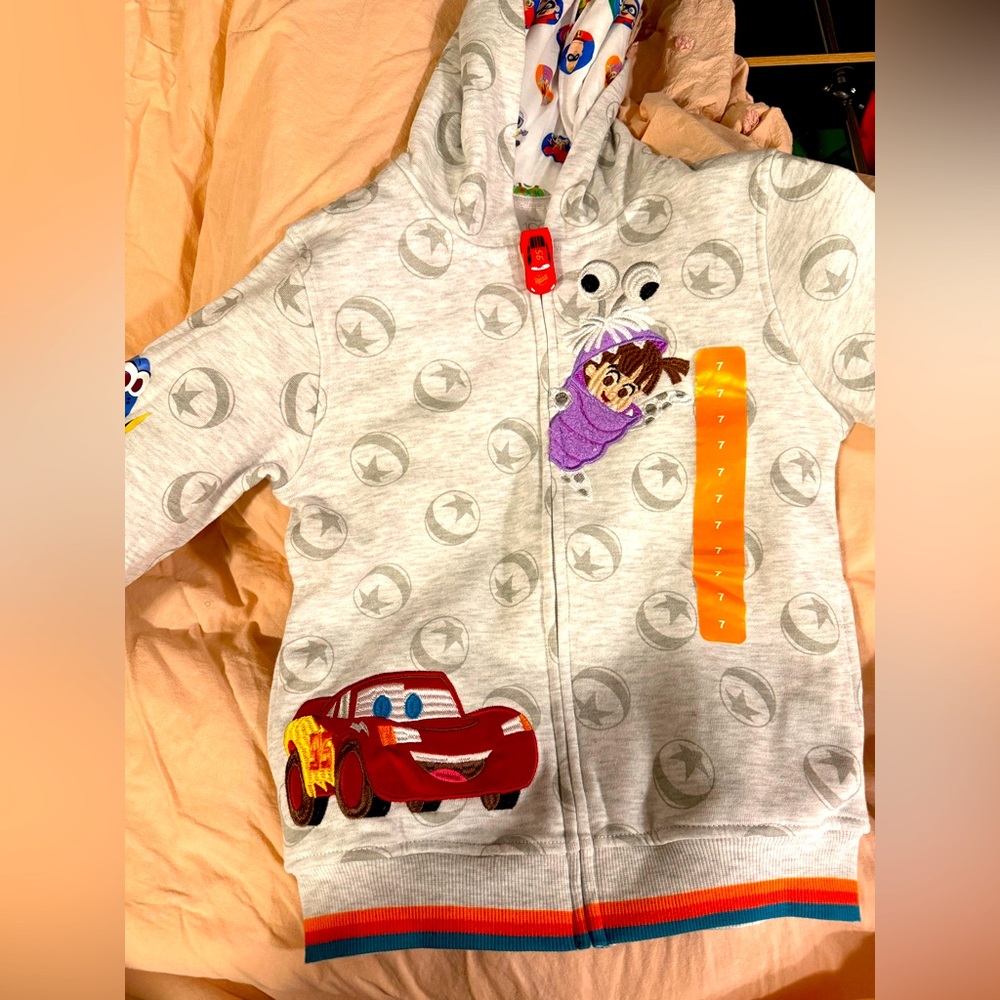 Disney Charter Hoodie